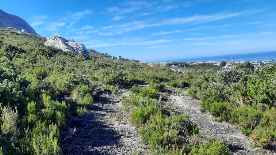 0 Bedroom Property for Sale in Bettys Bay Western Cape